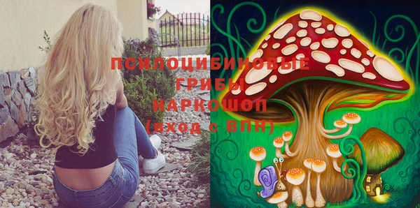 гидропоника Абаза