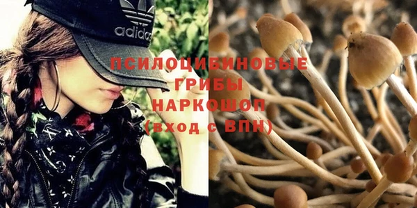 MDMA Абинск